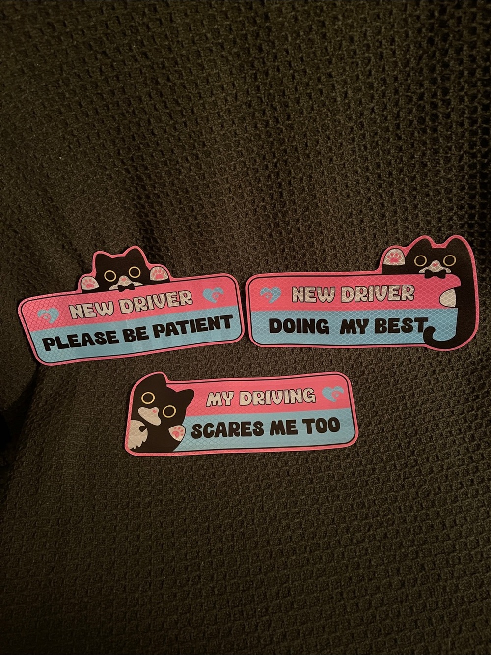 New Driver Cat-Themed Car magnetic Signs - Set of 3
